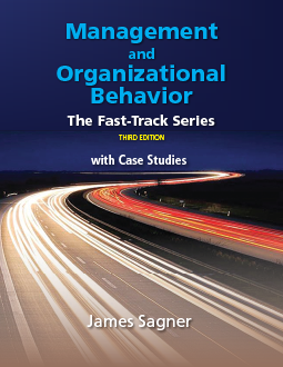 Fast Track Management and Organizational Behavior 3rd Edition, by James Sagner
